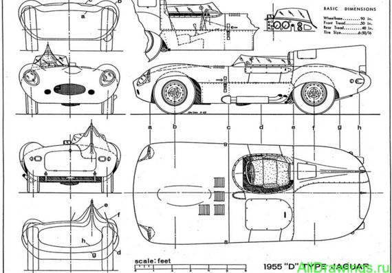Jaguar D-Type (1955) (Jaguar D-type (1955)) - drawings of the car